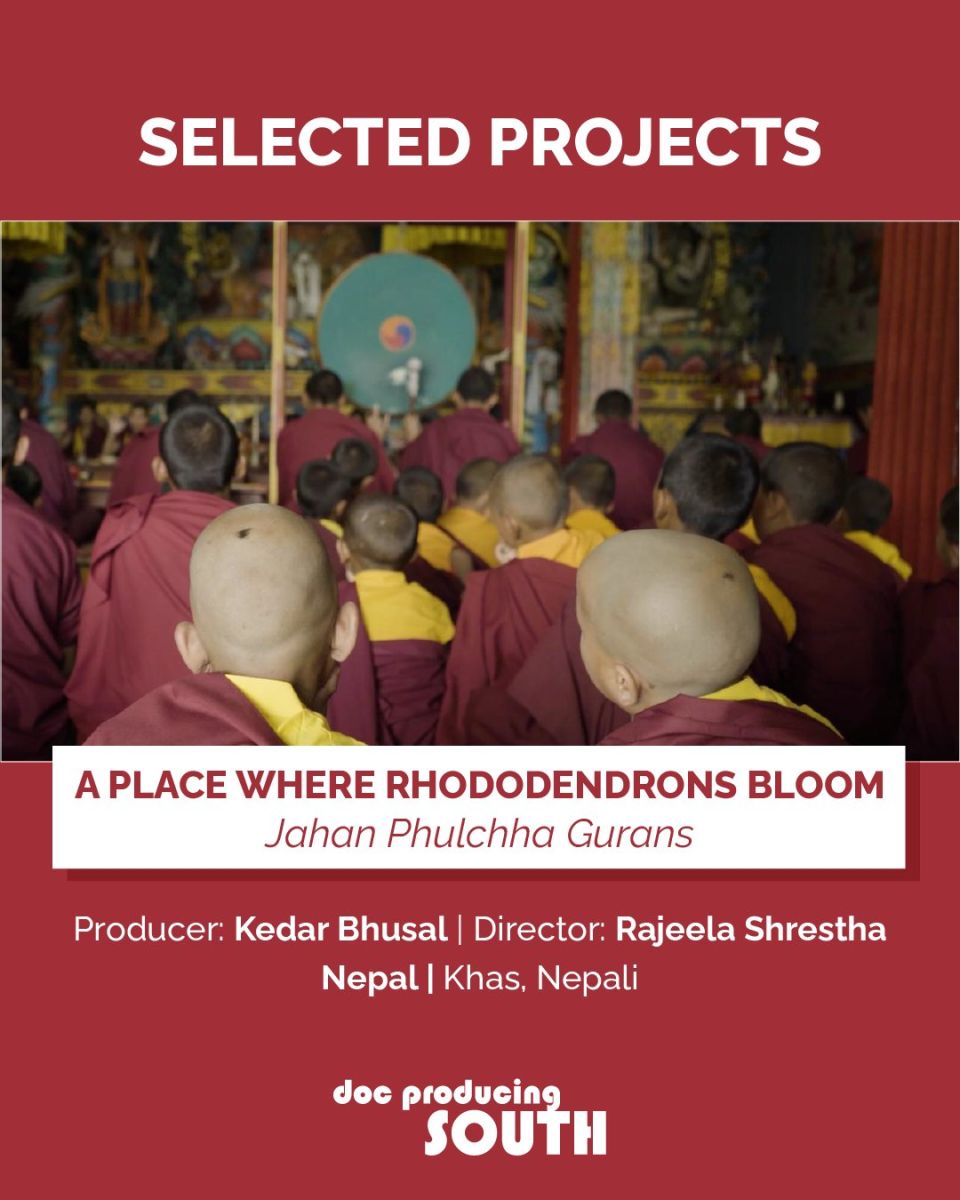 A Place where Rhododendrons Bloom 2